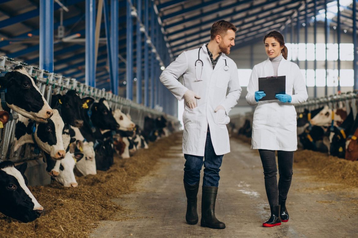 milk farming business plan